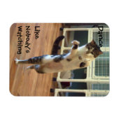 Magnet Flexible Aimant de danse de chat (Horizontal)