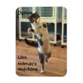 Magnet Flexible Aimant de danse de chat (Vertical)