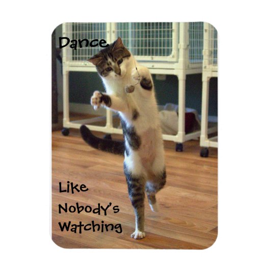 Magnet Flexible Aimant de danse de chat (Vertical)