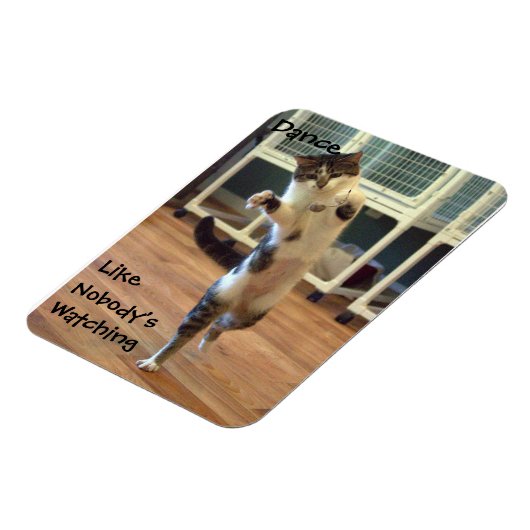 Magnet Flexible Aimant de danse de chat (Côté Gauche)