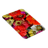 Magnet Flexible Aimant de fleurs dahlia colorées (Côté Droit)