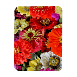 Magnet Flexible Aimant de fleurs dahlia colorées