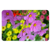Magnet Flexible Aimant de fleurs de cosmos mauve (Horizontal)