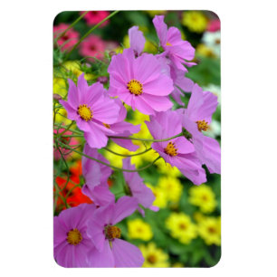 Magnet Flexible Aimant de fleurs de cosmos mauve