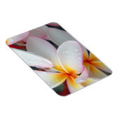 Magnet Flexible Aimant de fleurs de la Plumeria (Côté Droit)