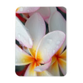Magnet Flexible Aimant de fleurs de la Plumeria (Vertical)