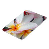 Magnet Flexible Aimant de fleurs de la Plumeria (Côté Gauche)