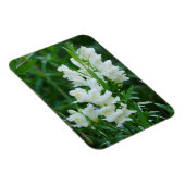 Magnet Flexible Aimant de Fleurs de Snapdragon Blanc (Côté Droit)