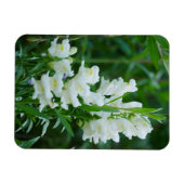 Magnet Flexible Aimant de Fleurs de Snapdragon Blanc (Horizontal)