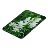 Magnet Flexible Aimant de Fleurs de Snapdragon Blanc (Côté Gauche)