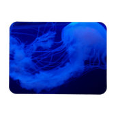 Magnet Flexible Aimant de gelée (Horizontal)