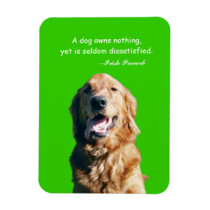 Magnet Flexible Aimant de golden retriever avec le proverbe