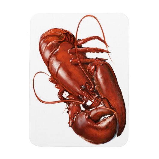 Magnet Flexible Aimant de homard (Vertical)