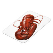Magnet Flexible Aimant de homard (Côté Gauche)