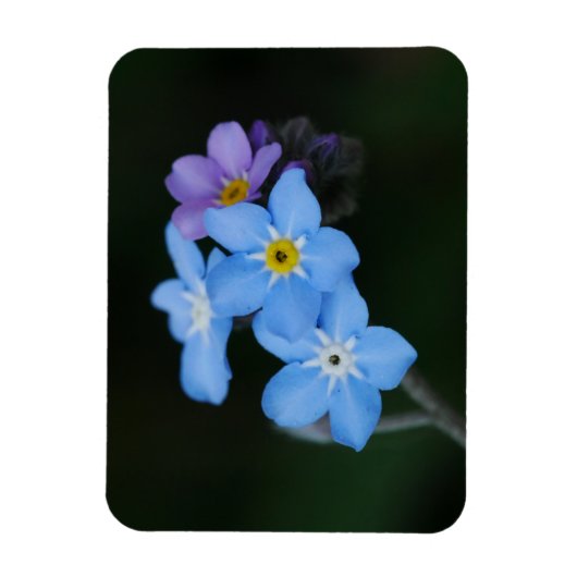 Magnet Flexible Aimant de l'oubli (Vertical)