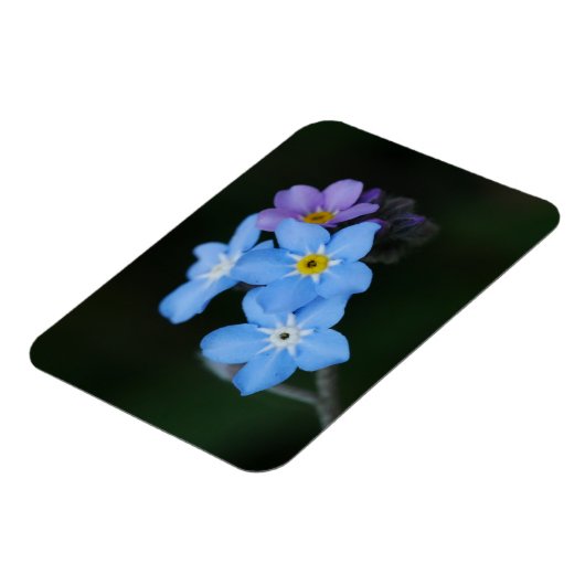 Magnet Flexible Aimant de l'oubli (Côté Gauche)