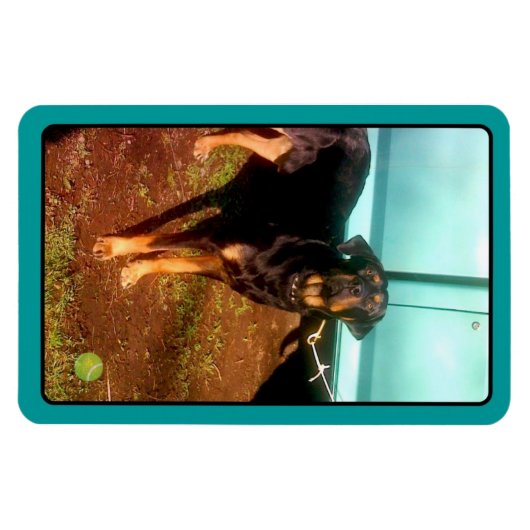 Magnet Flexible Aimant de mélange Rottweiler (Horizontal)
