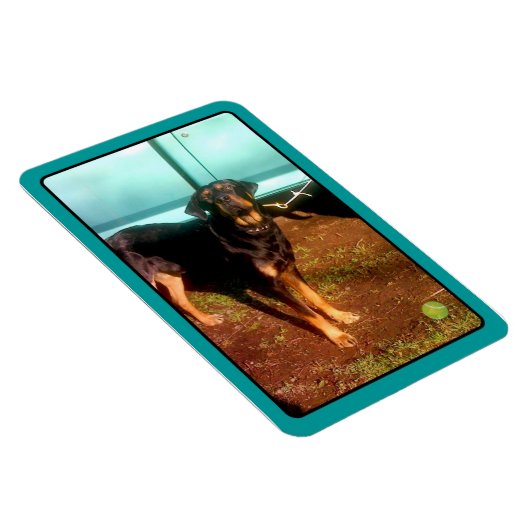 Magnet Flexible Aimant de mélange Rottweiler (Côté Droit)