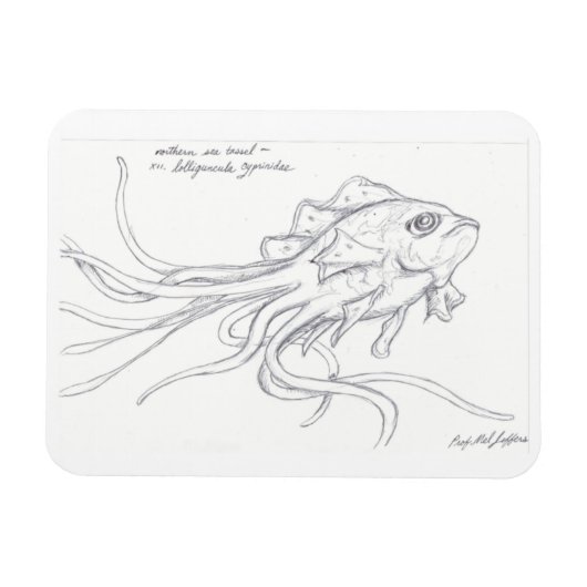 Magnet Flexible Aimant de mer Tassel (Horizontal)