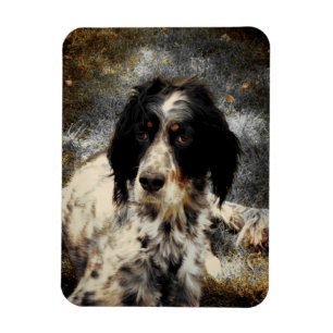 Magnet Flexible Aimant de photo d'amour de poseur