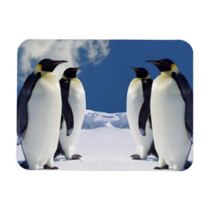 Magnet Flexible Aimant de pingouins