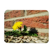 Magnet Flexible Aimant de pissenlit déterminé (Horizontal)