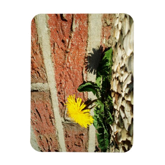 Magnet Flexible Aimant de pissenlit déterminé (Vertical)