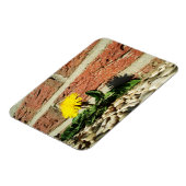 Magnet Flexible Aimant de pissenlit déterminé (Côté Gauche)