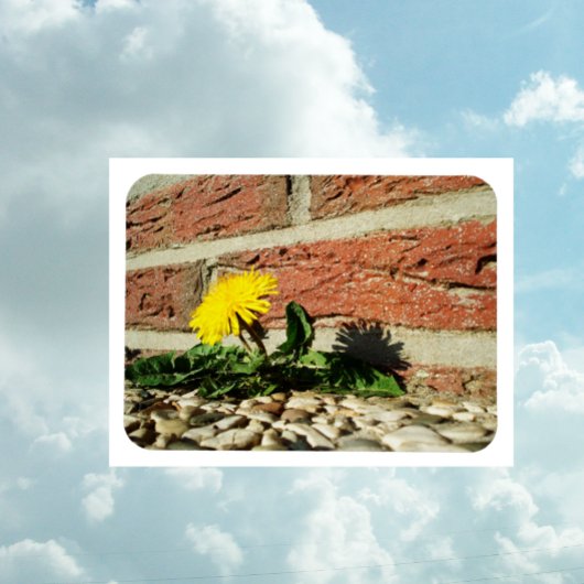 Magnet Flexible Aimant de pissenlit déterminé