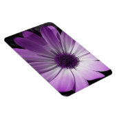 Magnet Flexible Aimant de première qualité à fleur marron violet (Côté Droit)