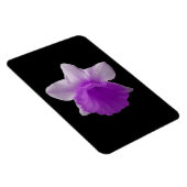 Magnet Flexible Aimant de première qualité Daffodil Purple (Côté Droit)