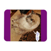 Magnet Flexible Aimant de prière Dezi (Horizontal)