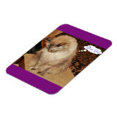 Magnet Flexible Aimant de prière Dezi (Côté Gauche)