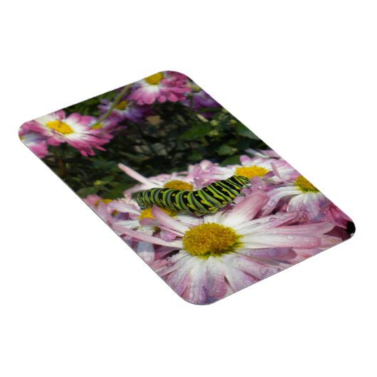 Magnet Flexible Aimant de promenade de chenille (Côté Droit)