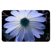 Magnet Flexible Aimant de qualité supérieure bleu marron (Horizontal)