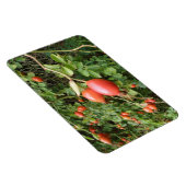 Magnet Flexible Aimant de qualité supérieure pour les lèvres rouge (Côté Droit)