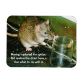 Magnet Flexible aimant de rat drôle (Horizontal)