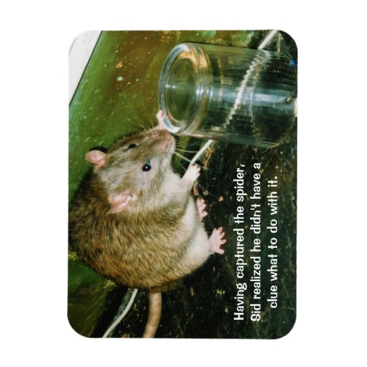 Magnet Flexible aimant de rat drôle (Vertical)