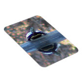 Magnet Flexible Aimant de réflexion de tortue (flexible) (Côté Droit)