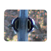 Magnet Flexible Aimant de réflexion de tortue (flexible) (Horizontal)