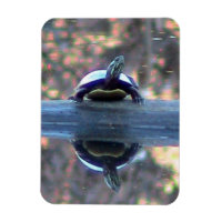 Aimant de réflexion de tortue (flexible)