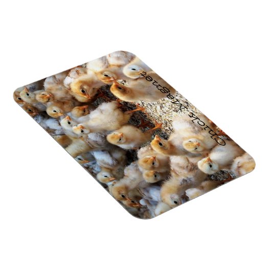 Magnet Flexible Aimant de réfrigération (Côté Droit)