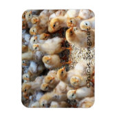 Magnet Flexible Aimant de réfrigération (Vertical)