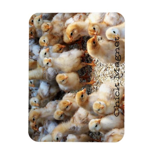 Magnet Flexible Aimant de réfrigération (Vertical)