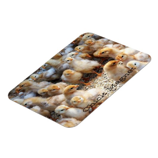 Magnet Flexible Aimant de réfrigération (Côté Gauche)