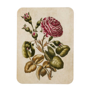 Magnet Flexible Aimant de Rose vintage à la flore botanique