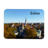 Magnet Flexible Aimant de Tallinn (Horizontal)