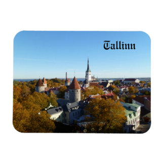 Magnet Flexible Aimant de Tallinn