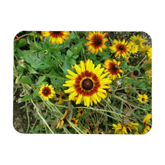 Magnet Flexible Aimant de tournesol (Horizontal)
