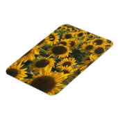 Magnet Flexible aimant de tournesol (Côté Gauche)